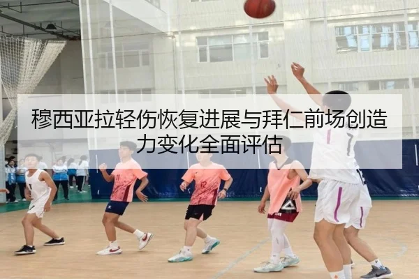 穆西亚拉轻伤恢复进展与拜仁前场创造力变化全面评估