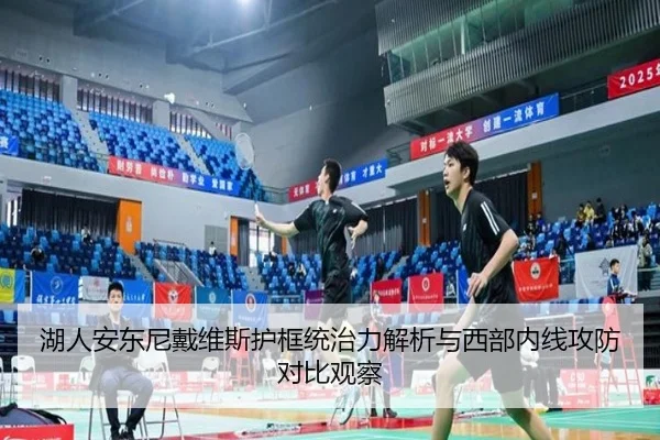 湖人安东尼戴维斯护框统治力解析与西部内线攻防对比观察